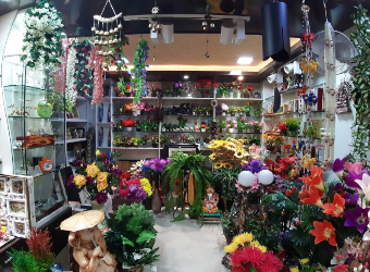Dolphin Gift Gallery